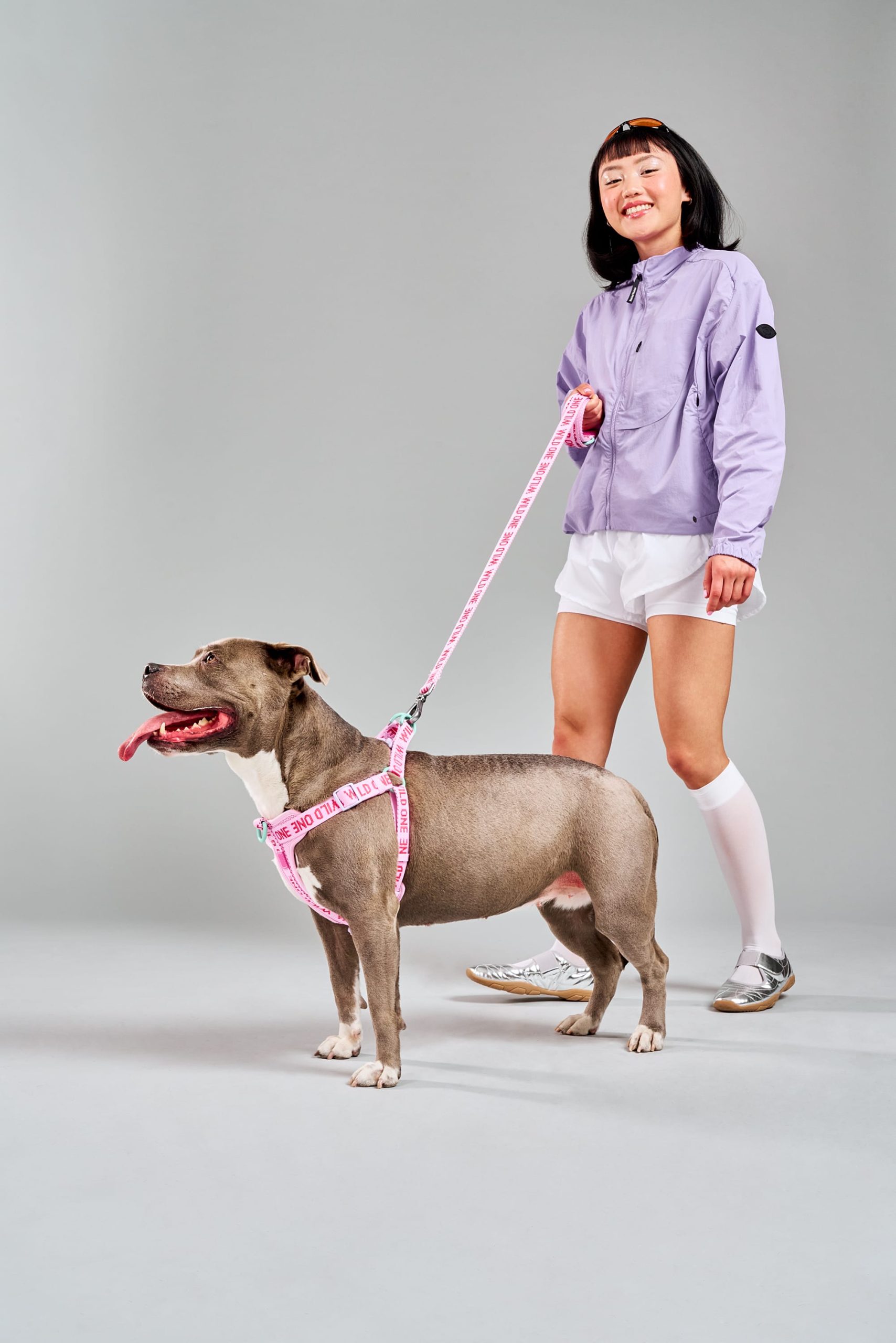 Step-In Dog Harness - Image 16