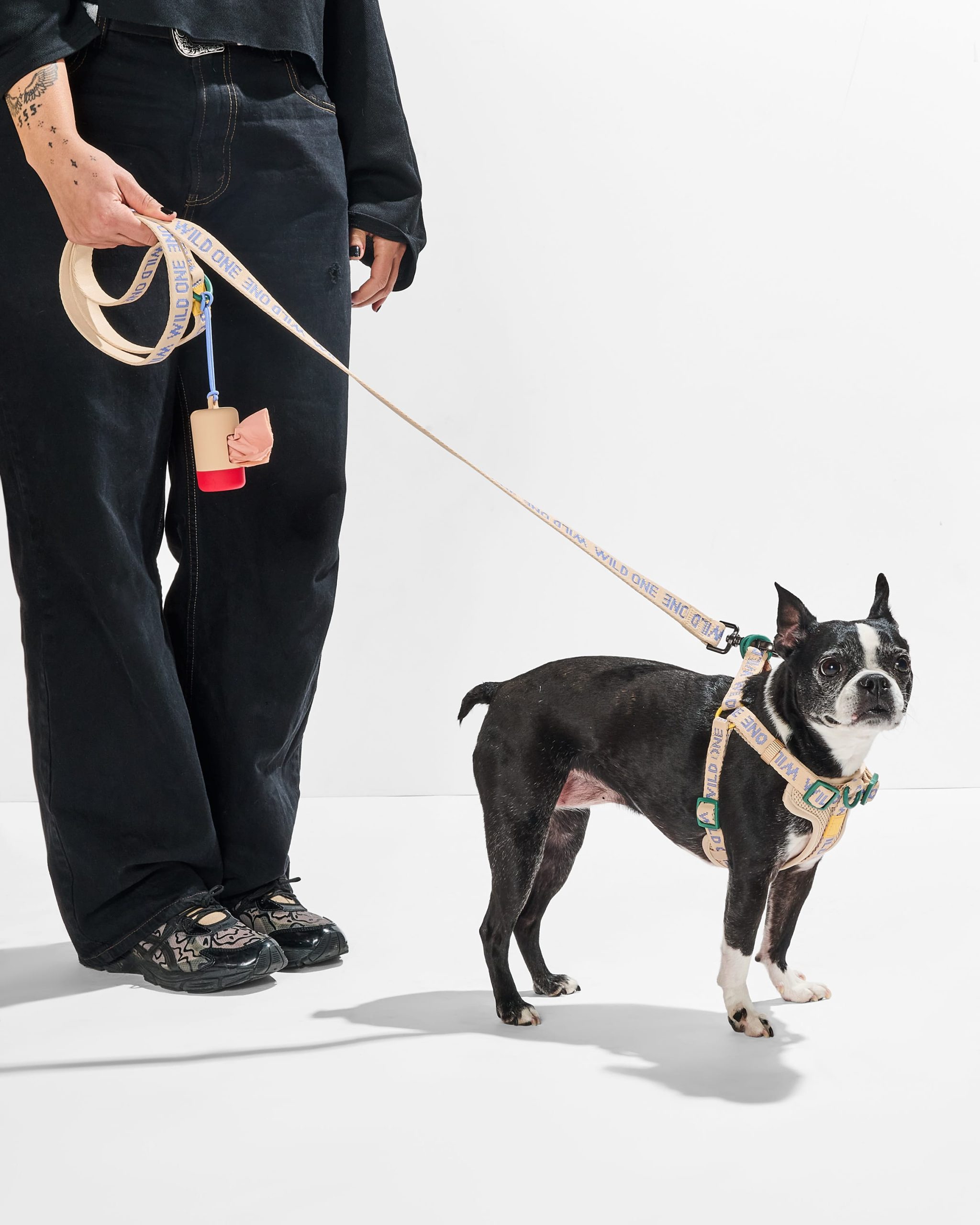 Step-In Harness + Lightweight Leash Walk Kit - Image 6