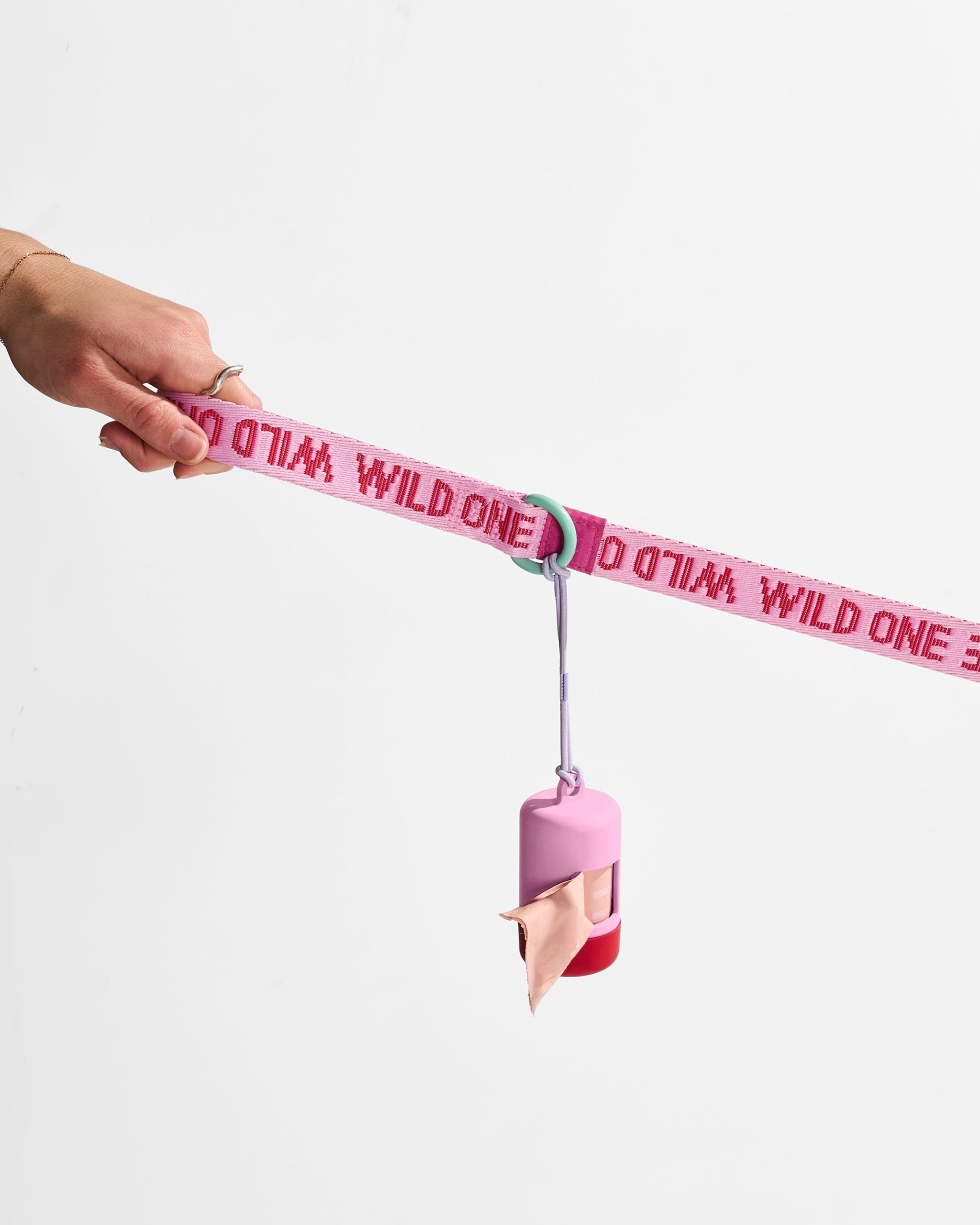 Waterproof Collar + Lightweight Leash Walk Kit - Image 5